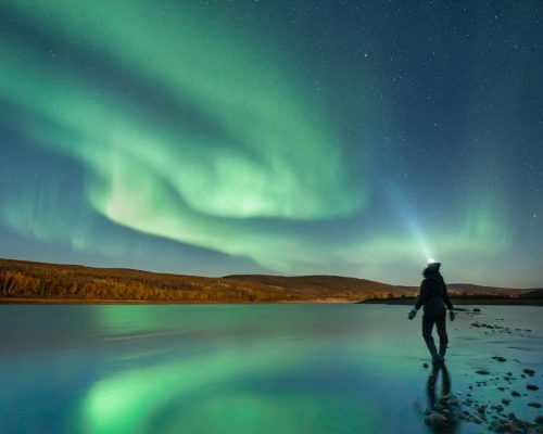 Northern lights during fall by Jonna Wood